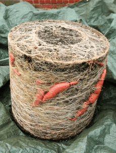 Sweet Potato Barrel