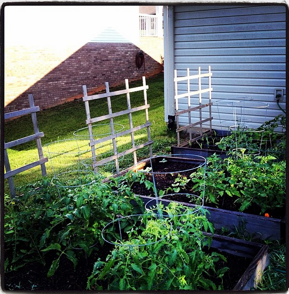 Garden Beds