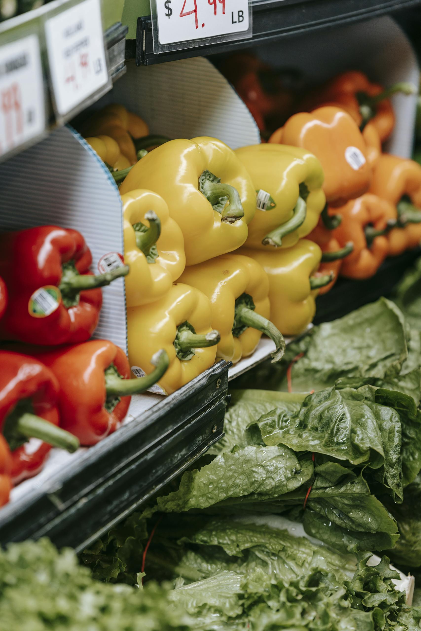 Fresh assorted colorful bell peppers and herbs in fridge on supermarket